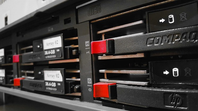 data science specialist analyzing AI analytics dashboard